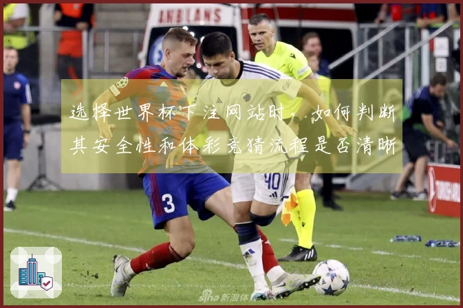 选择世界杯下注网站时，如何判断其安全性和体彩竞猜流程是否清晰？