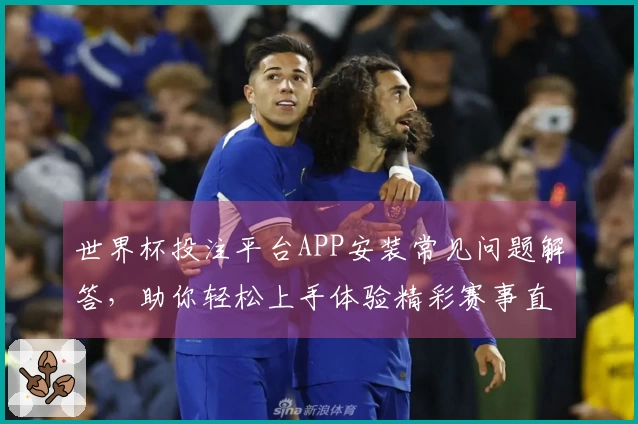 世界杯投注平台APP安装常见问题解答，助你轻松上手体验精彩赛事直播