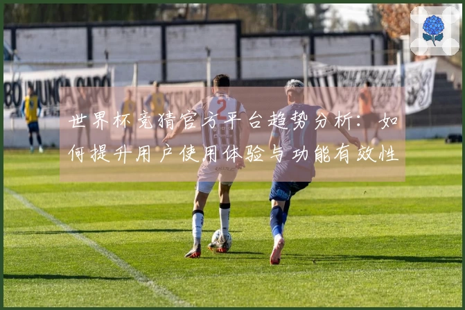 世界杯竞猜官方平台趋势分析：如何提升用户使用体验与功能有效性