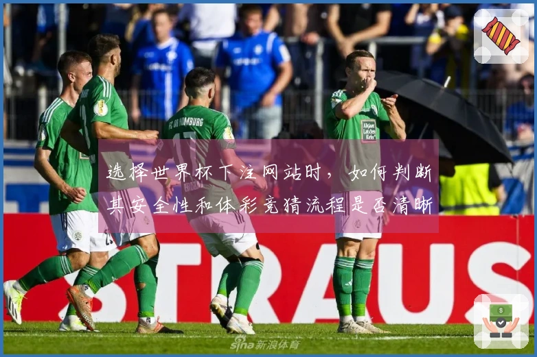选择世界杯下注网站时，如何判断其安全性和体彩竞猜流程是否清晰？