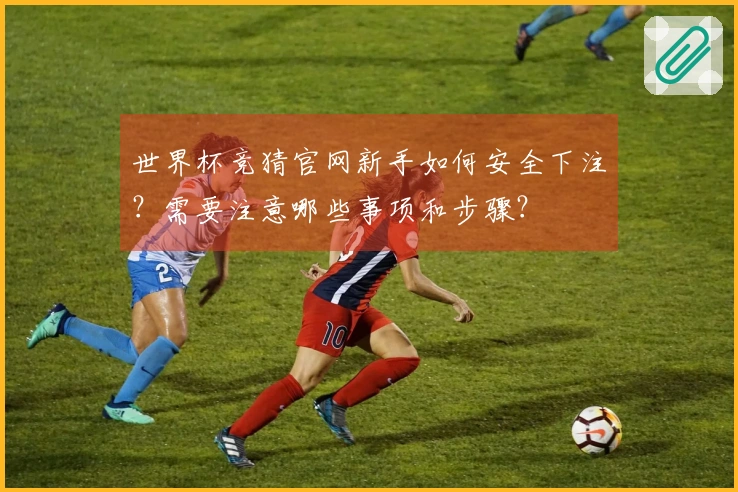 世界杯竞猜官网新手如何安全下注？需要注意哪些事项和步骤？
