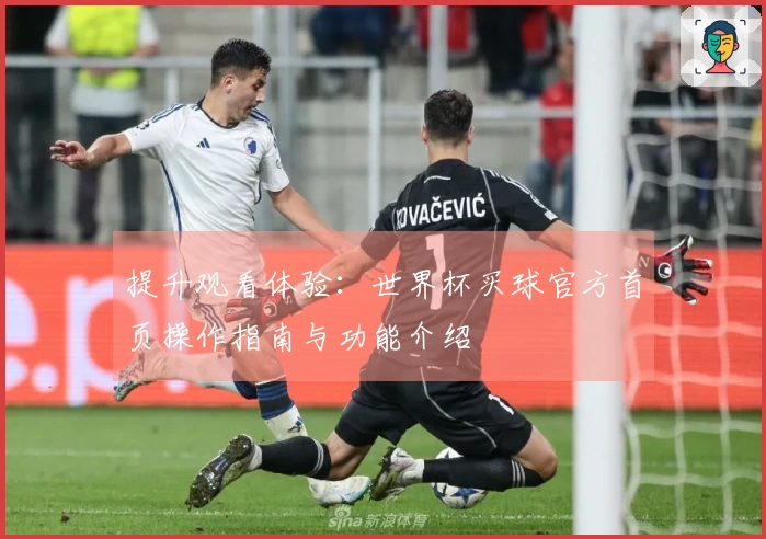 提升观看体验：世界杯买球官方首页操作指南与功能介绍