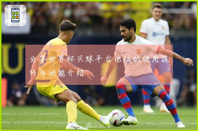 分享世界杯买球平台地址的使用技巧与功能介绍