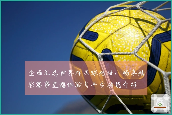全面汇总世界杯买球地址，畅享精彩赛事直播体验与平台功能介绍