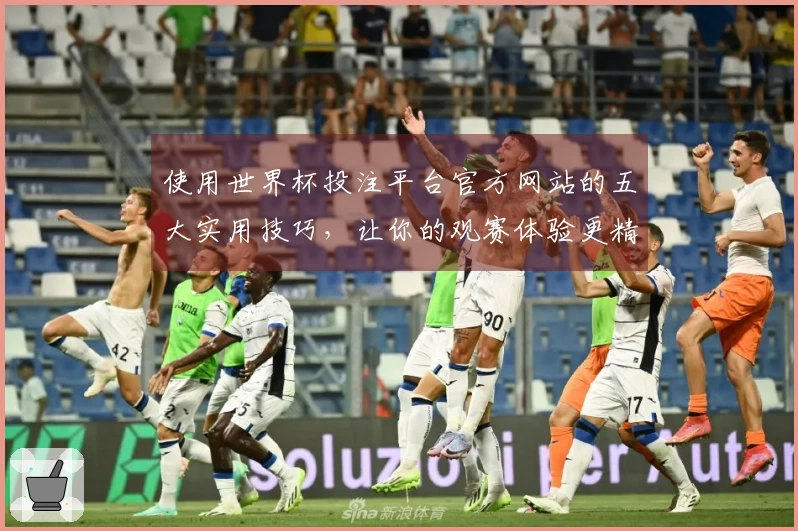 使用世界杯投注平台官方网站的五大实用技巧，让你的观赛体验更精彩