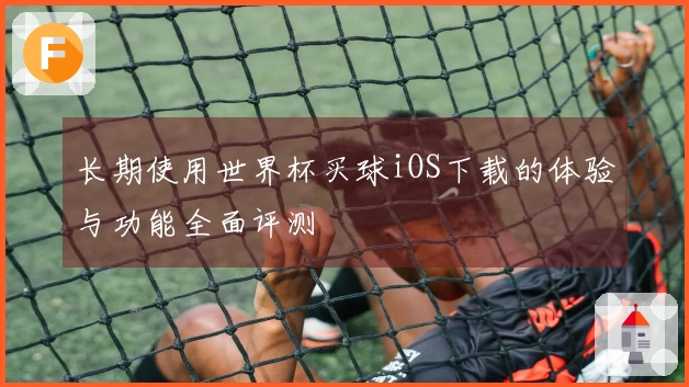 长期使用世界杯买球iOS下载的体验与功能全面评测