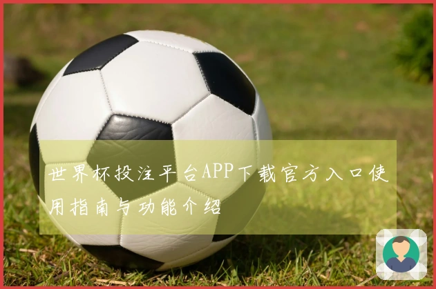 世界杯投注平台APP下载官方入口使用指南与功能介绍